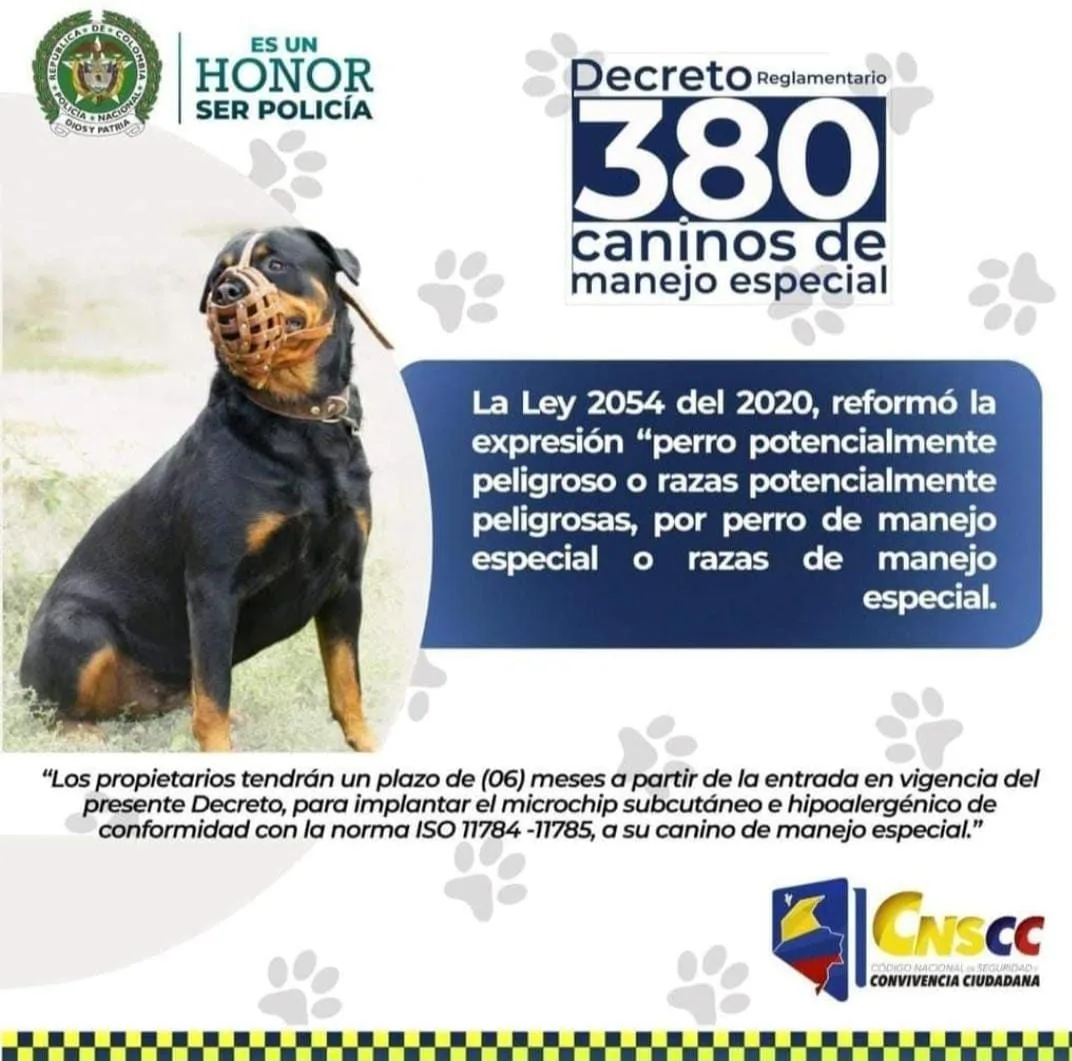 Decreto-380-1