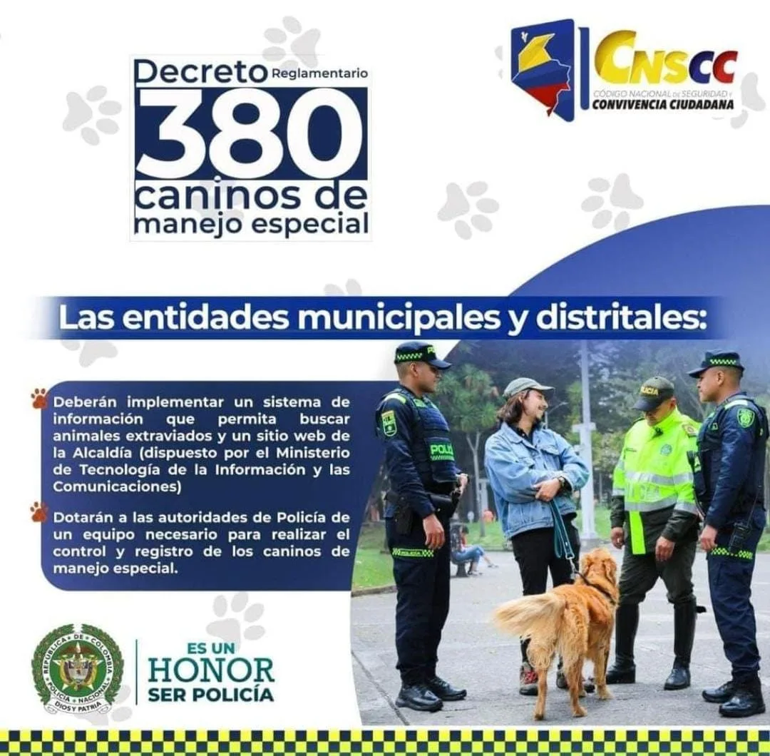 Decreto-380-3