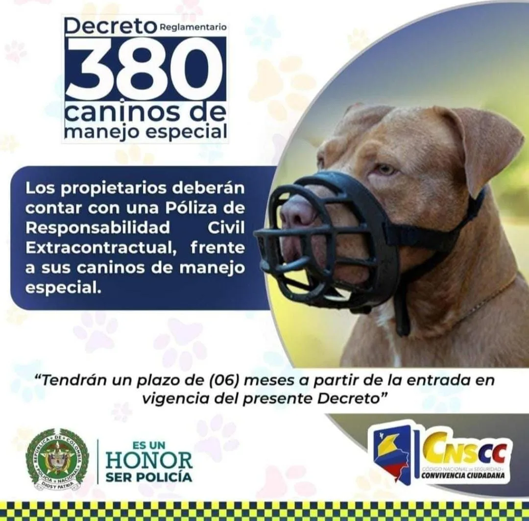 Decreto-380-4