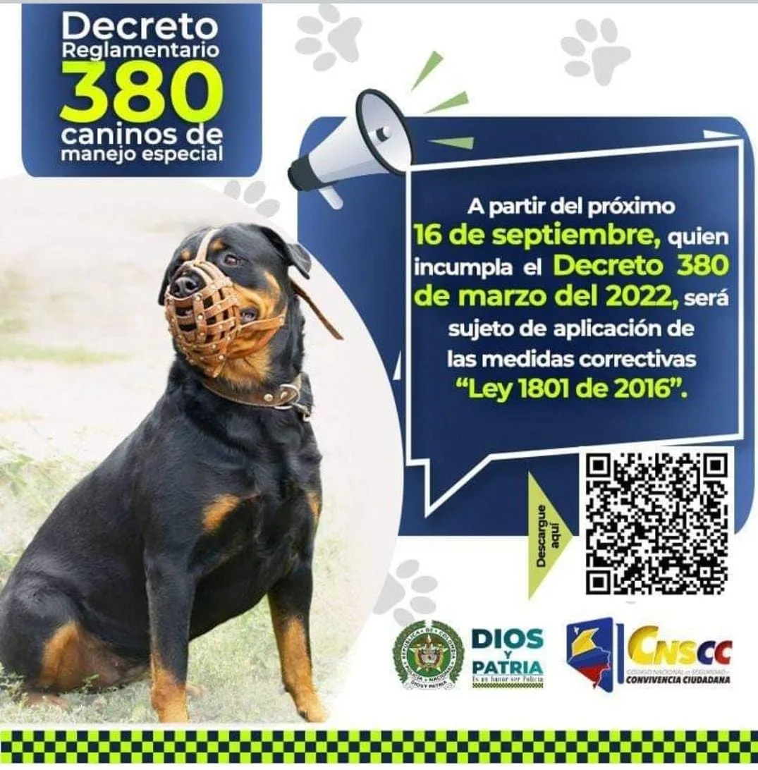 Decreto-380-5